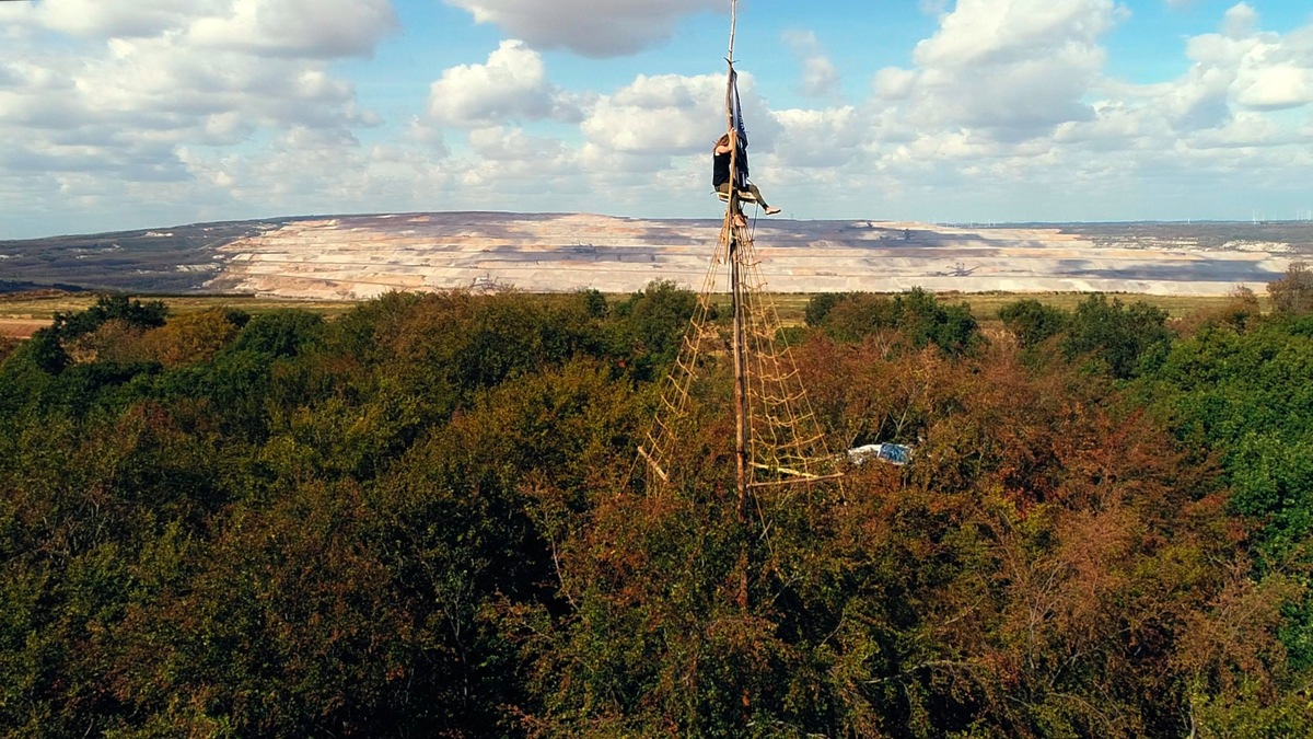 Hambi – Der kampf um den hambacher wald